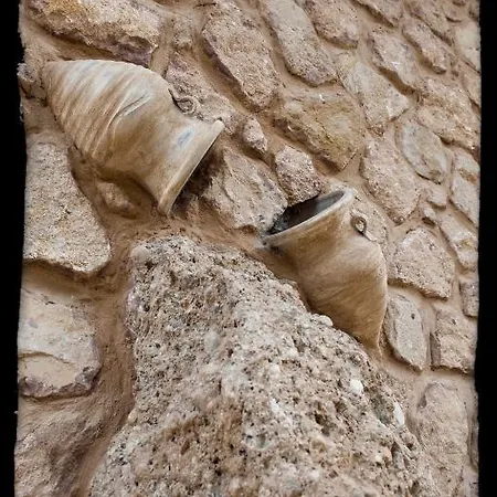 卡梅利亚套房旅馆 招待所 塞尼梅西奇卡罗