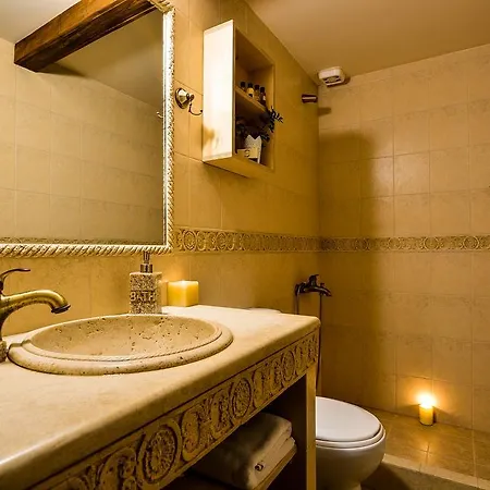 卡梅利亚套房旅馆 4*