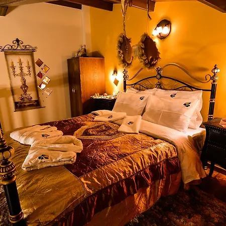 Penzion Camelia 4*