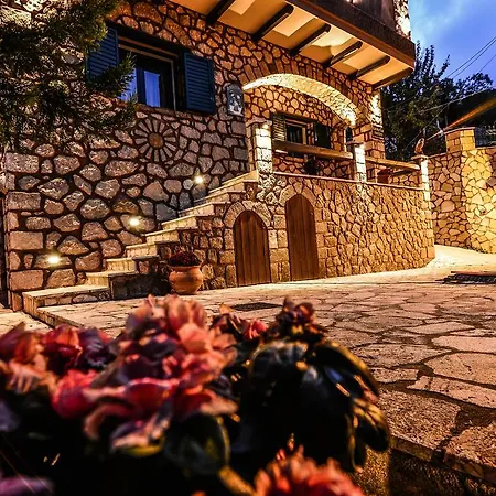 Camelia Guest house *