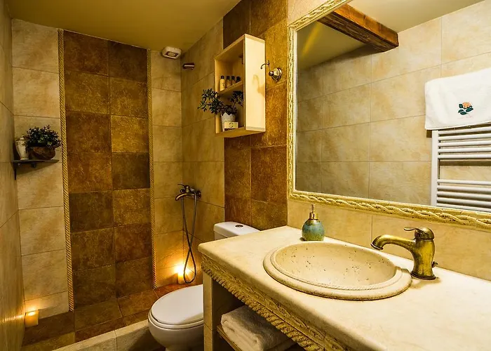 Πανσιόν Camelia